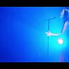 amyleefans01051.png