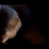 amyleefans02131.png