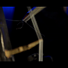 amyleefans02731.png