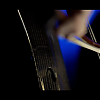 amyleefans03211.png