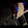 amyleefans03241.png