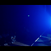 amyleefans03481.png