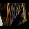 amyleefans01651.png