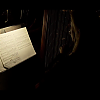 amyleefans05281.png