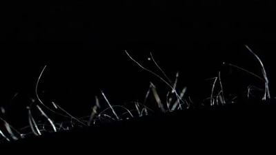 scene00526.jpg