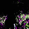 scene00801.jpg