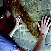 scene01351.jpg