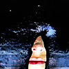 scene02851.jpg
