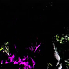 scene03601.jpg