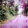 scene03826.jpg