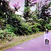 scene03851.jpg