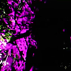 scene04276.jpg