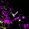 scene04326.jpg