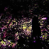 scene06076.jpg