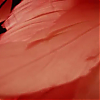 scene00051.jpg
