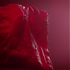 scene00201.jpg