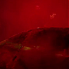 scene03726.jpg