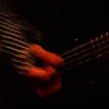 scene03851.jpg