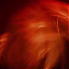 scene04301.jpg