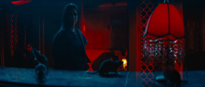 amyleefans03151.png