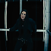 amyleefans01981.png