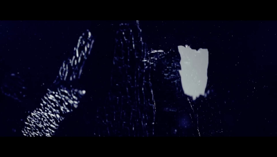 amyleefans04861.png