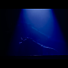 amyleefans00031.png