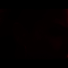 amyleefans00961.png