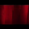 amyleefans01111.png