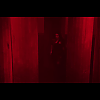 amyleefans01141.png