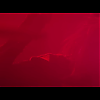 amyleefans02011.png