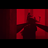 amyleefans04411.png