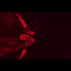 amyleefans04621.png
