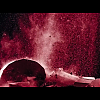 amyleefans04981.png