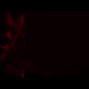 amyleefans05011.png