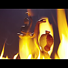 amyleefans05101.png