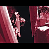 amyleefans05161.png