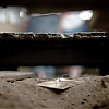 07257E15.jpg
