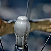 17257E6.jpg