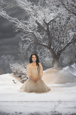 Keywords: amy lee,amy photos,evanescence,gallery,music video,the open door,Lithium