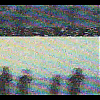 443.jpg