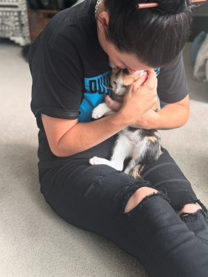 New kitty cake ??
